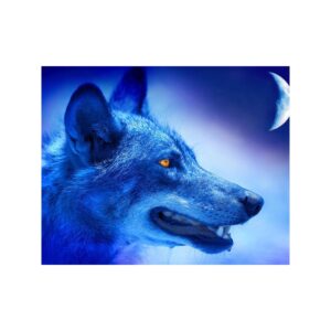 780416 NORIMPEX 5D Diamantová mozaika - Midnight Wolf