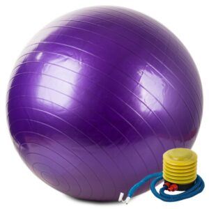 0038 DR Fitness míč s pumpou 65cm Fialová