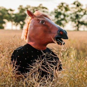 Maska koně