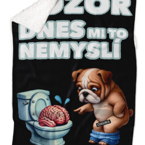 Deka Dnes mi to nemyslí (Podšití beránkem: ANO)