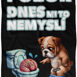 Deka Dnes mi to nemyslí (Podšití beránkem: NE)