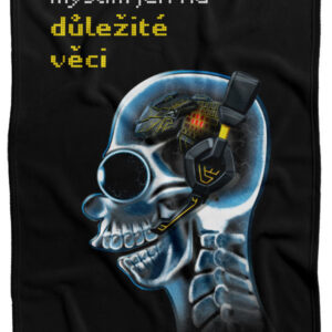 Deka Důležité věci – gamer (Podšití beránkem: NE)