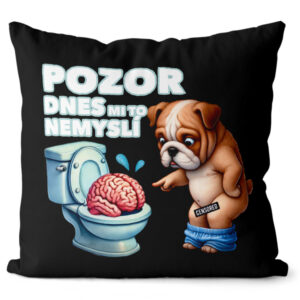 Polštář Dnes mi to nemyslí (Velikost: 55 x 55 cm)