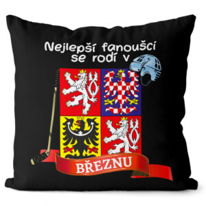 Polštář Nejlepší fanoušci – měsíce (Velikost: 55 x 55 cm