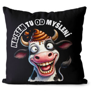 Polštář Nejsem tu od myšlení (Velikost: 55 x 55 cm)