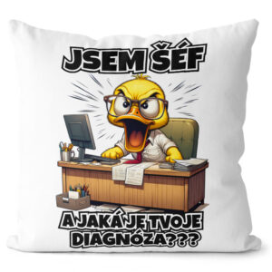 Polštář Šéf - diagnóza (Velikost: 55 x 55 cm)