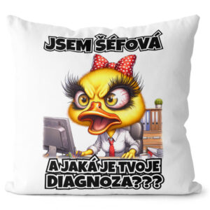 Polštář Šéfová - diagnóza (Velikost: 55 x 55 cm)