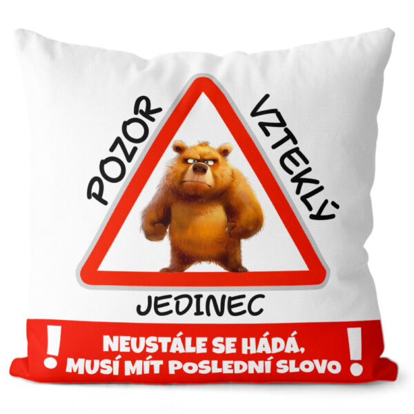 Polštář Vzteklý jedinec (Velikost: 55 x 55 cm)
