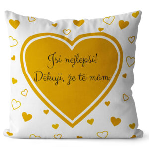 Polštářek Děkuji