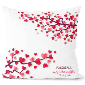 Polštářek Nejúžasnější tchýně (Velikost: 55 x 55 cm)