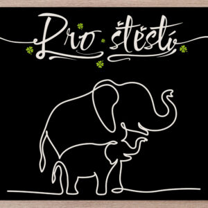 Prostírání Sloni pro štěstí