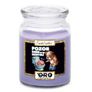 Svíčka Dnes mi to nemyslí (Vůně svíčky: Levandule)