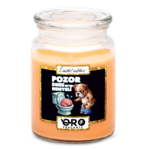 Svíčka Dnes mi to nemyslí (Vůně svíčky: Tropické ovoce)