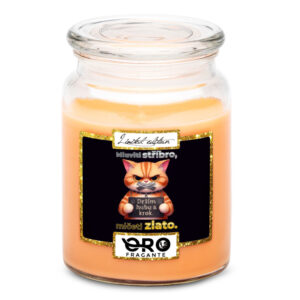 Svíčka Držím hubu (Vůně svíčky: Tropické ovoce)