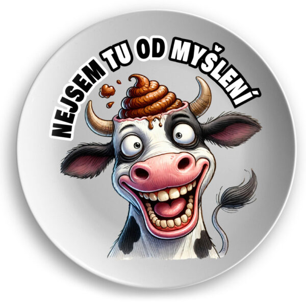 Talíř Nejsem tu od myšlení