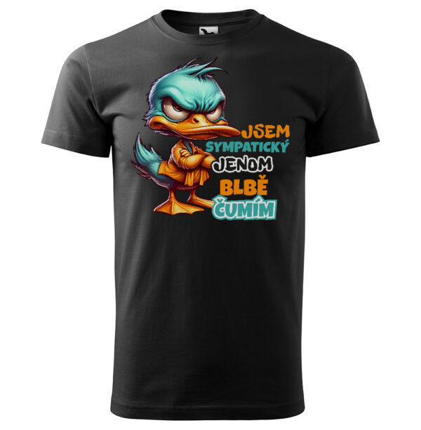 Tričko Jsem sympatický (pánské) (Velikost: 2XL