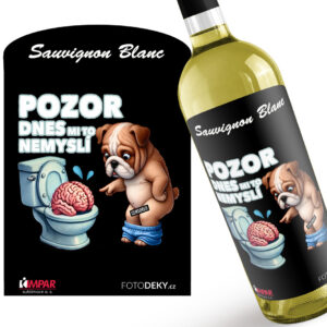 Víno Dnes mi to nemyslí (Druh Vína: Bílé víno)