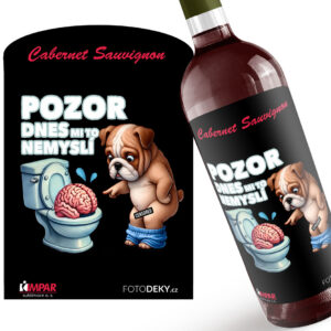 Víno Dnes mi to nemyslí (Druh Vína: Červené víno)