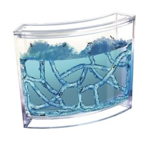 Mravenčí akvárium - antquarium