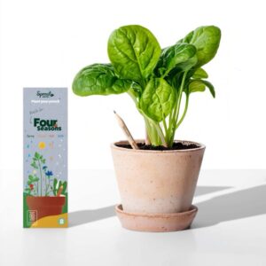 Rostoucí tužky Sprout 4 roční období (8 kusů)