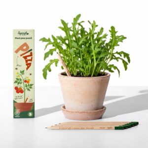 Rostoucí tužky Sprout Pizza (5 kusů)